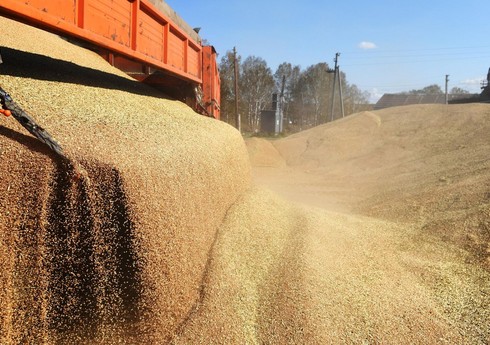 Mövlud Çavuşoğlu: 