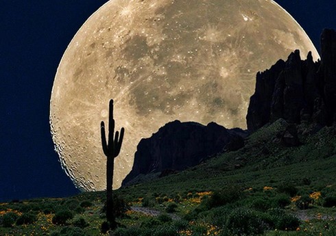 NASA rəhbəri: “Yer sakinləri Aya yaşamaq və təhsil almaq üçün gedəcək”