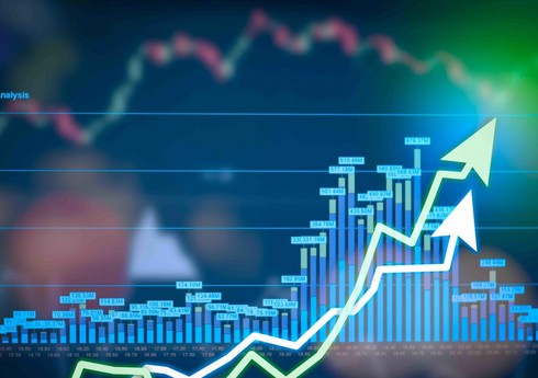 Naxçıvan iqtisadiyyatı 1 %-ə yaxın böyüyüb