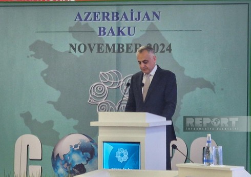 Naxçıvanda COP29-la bağlı konfrans keçirilir
