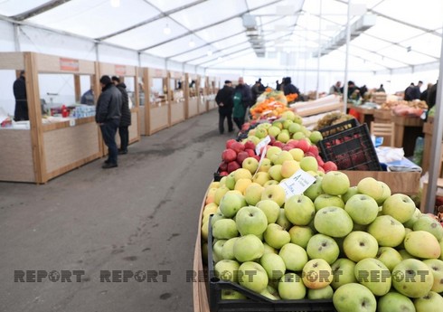 Naxçıvanda Novruz yarmarkası təşkil ediləcək