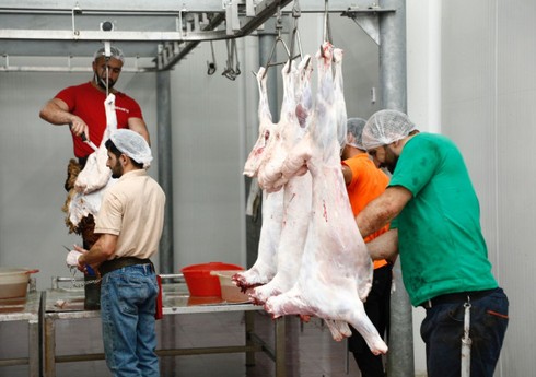 Naxçıvanda qurbanlıq heyvanların satış və kəsim yerləri açıqlanıb Naxçıvanda qurbanlıq heyvanların satış və kəsim yerləri açıqlanıb