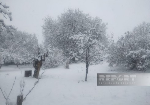 Naxçıvanın dağ kəndlərində qarın hündürlüyü 19-23 santimetrə çatıb
