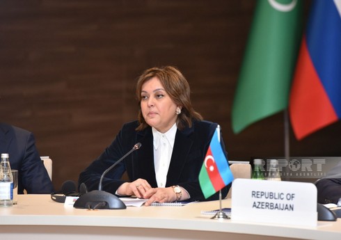 Nazir müavini: Azərbaycan Xəzərin çirklənməsini minimuma endirmək üçün tədbirlər görür