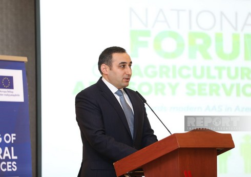 Nazir müavini: “Azərbaycanda fermerlər üçün dövlət xidmətləri rəqəmsallaşdırılır”