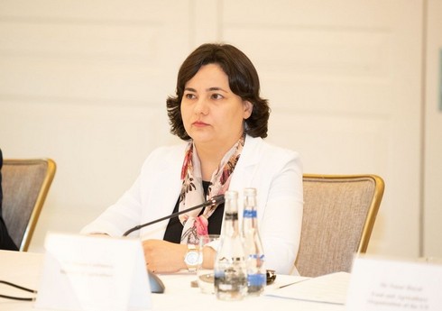 Nazir müavini: 
