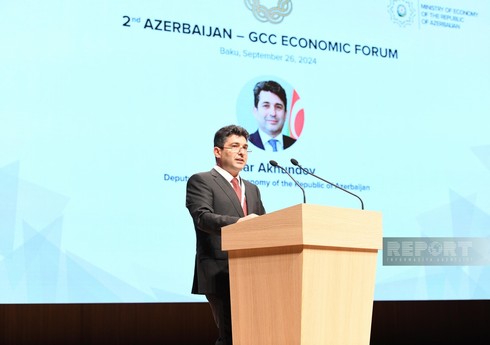 Nazir müavini: 