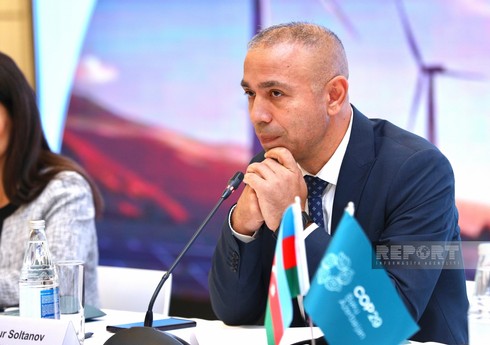 Nazir müavini: 