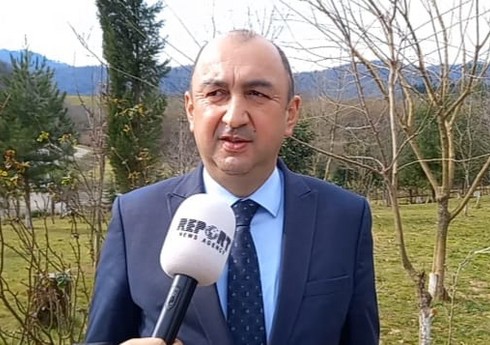 Nazir müavini: Nazir müavini: