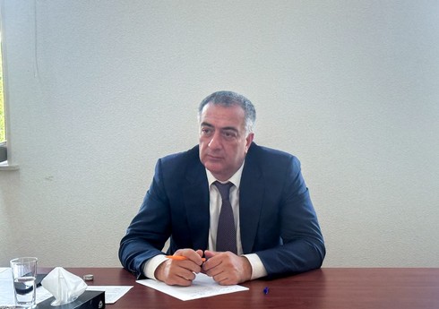 Nazir müavini: 