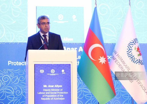 Nazir müavini: Qlobal istiləşmənin qarşısını almaq üçün “yaşıl iqtisadiyyat”a keçid zəruridir