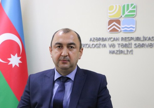 Nazir müavini: Nazir müavini: