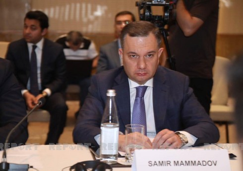 Nazir müavini: 