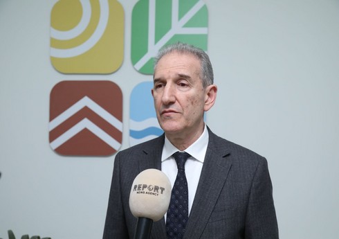 Nazir müşaviri: Nazir müşaviri: