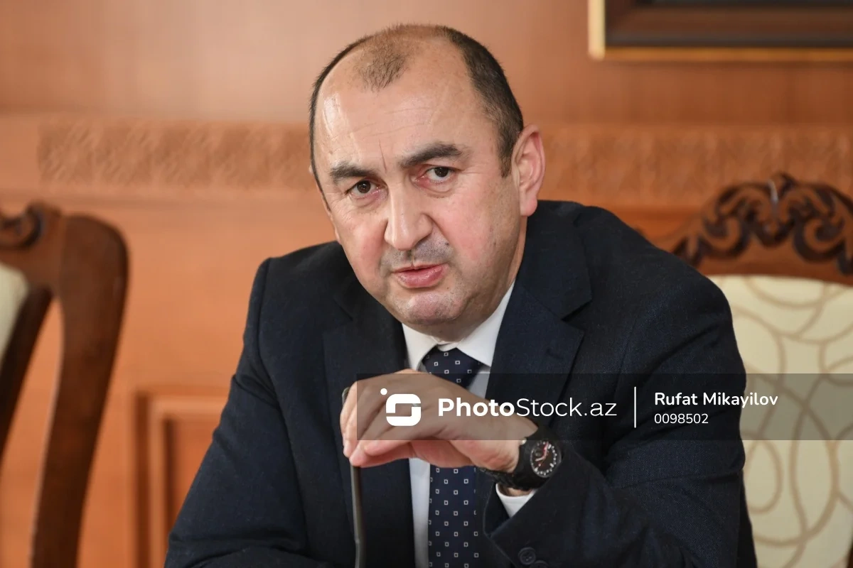 Nazir müavini: 