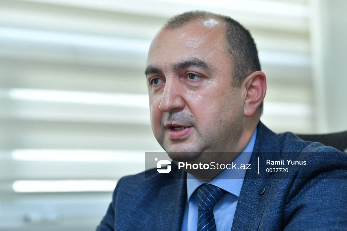 Nazir müavini: Ermənilər işğal dövründə 54 min hektar meşə sahəsini məhv edib
