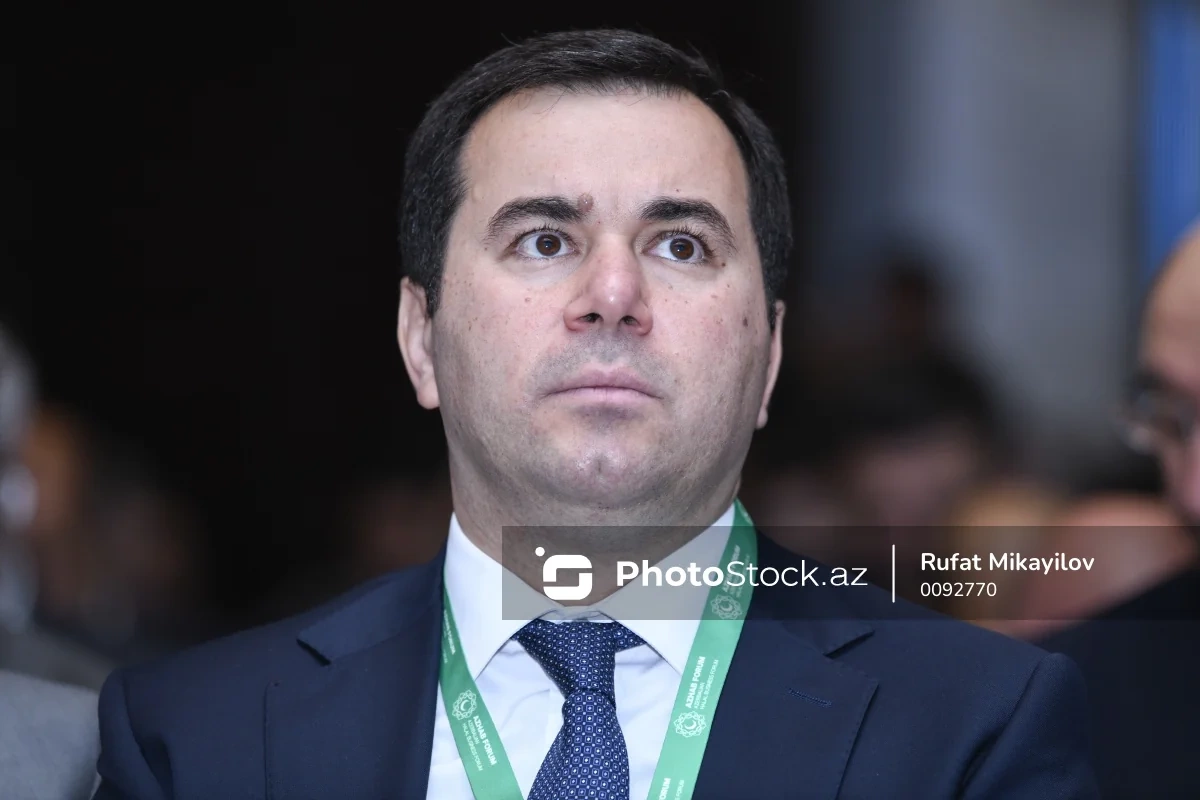 Nazir müavini: 