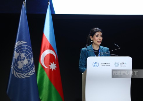 Nigar Arpadarai: 