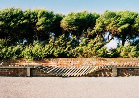 Növbəti iki gündə bəzi rayonlarda güclü külək əsəcək - XƏBƏRDARLIQ