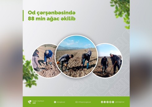 Od çərşənbəsində 88 min ağac əkilib 
