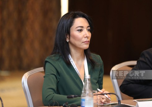 Ombudsman mina təhlükəsi ilə bağlı beynəlxalq təşkilatlara çağırış edib