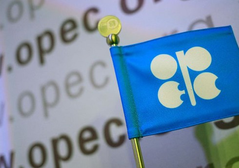 “OPEC+” neft hasilatı ilə bağlı hazırkı qərarları dəyişməyəcək