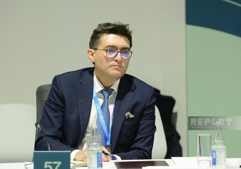 Orxan Zeynalov: 