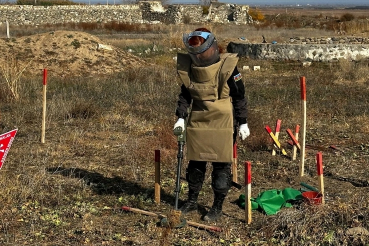 Ötən həftə 1291 ha ərazi minalardan təmizlənib