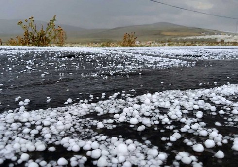Oğuza dolu düşüb, meyvə ağaclarına və təsərrüfatlara ziyan dəyib
