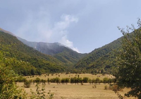 Oğuzda dağlıq ərazilərdəki yanğın söndürülüb