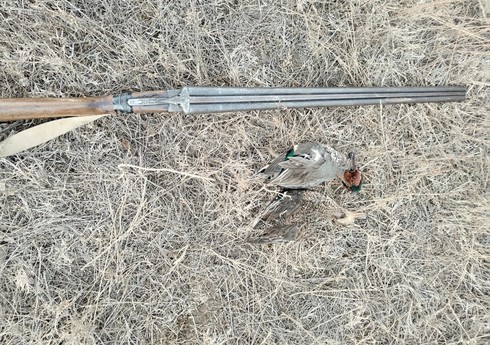 Ovçuluq təsərrüfatının ərazisində qanunsuz ov edən şəxs cəzalandırılıb