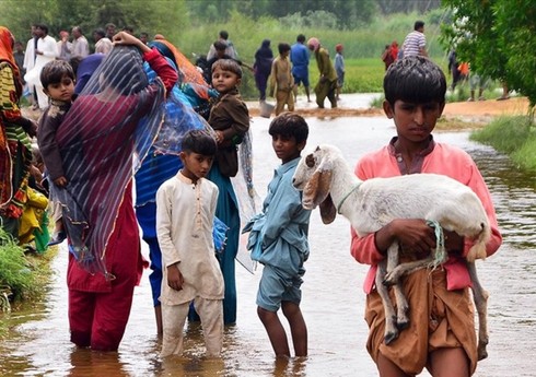 Pakistanda yağışlar nəticəsində ölənlərin sayı 1 200 nəfəri keçib