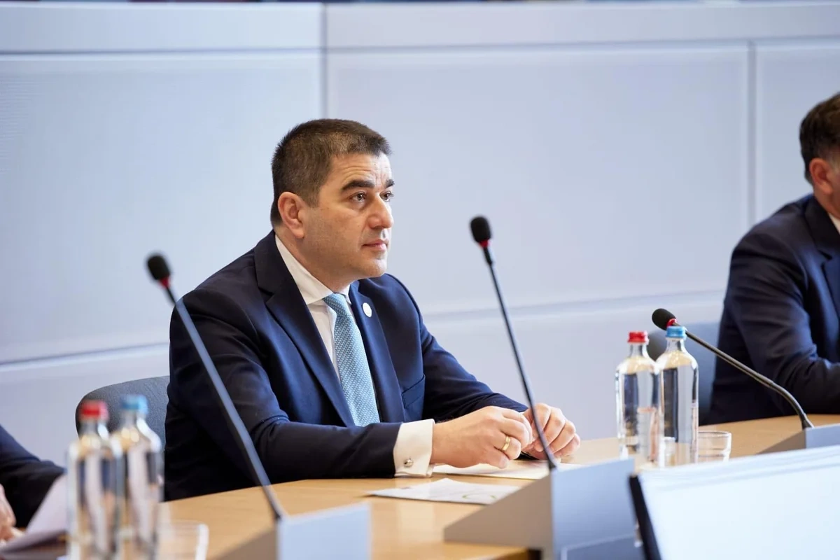 Papuaşvili: Xarici müdaxiləyə qarşı beynəlxalq hüquqi çərçivə yaradılmalıdır