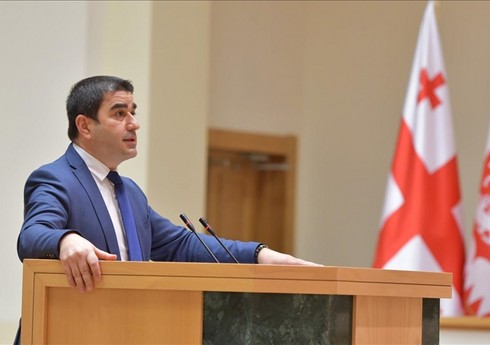 Papuaşvili: USAID 2024-cü ildə Gürcüstan QHT-lərinə 41,7 milyon dollar ayırıb