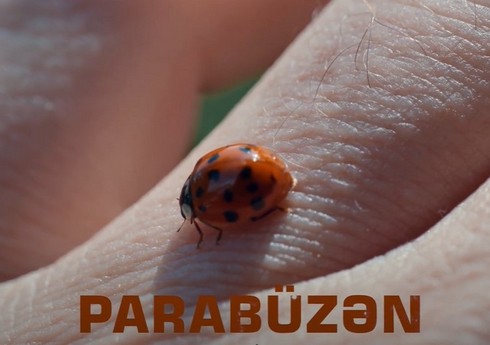 “Parabüzən” sənədli filmi - TAM VERSİYA