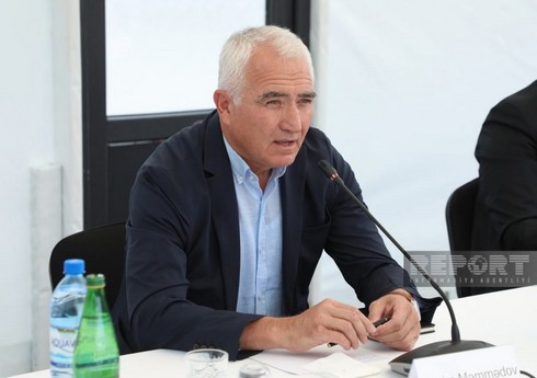 Prezidentin xüsusi nümayəndəsi özəl sektora çağırış edib