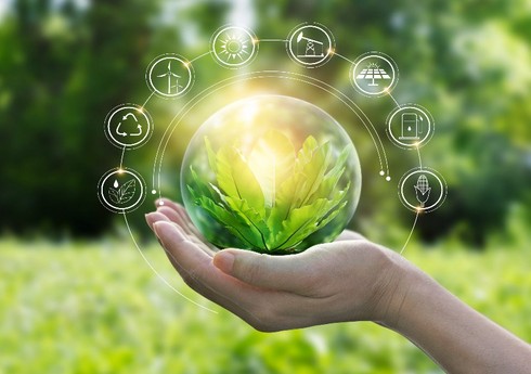 Professor: “Dünya “yaşıl enerji” mənbələrinə keçməlidir”