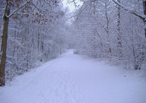 Qarlı hava şəraiti qərb bölgəsində avtomobil yollarında çətinliklər yaradıb
