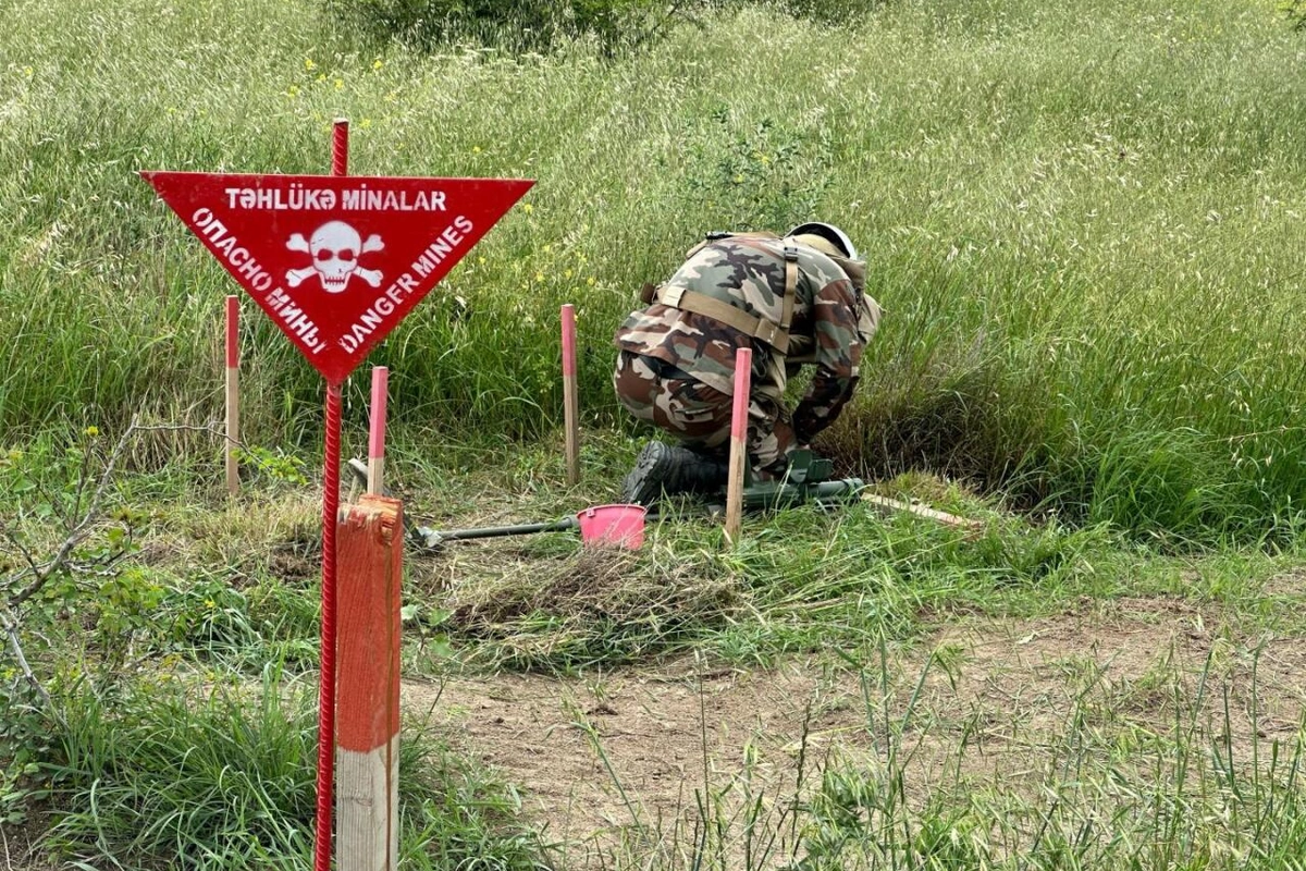 Qazaxın azad olunmuş kəndlərində aşkarlanan minaların sayı AÇIQLANIB