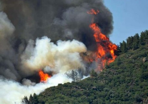Qəbələdə dağlıq-meşəlik ərazidə yanğın başlayıb, helikopter cəlb olunub