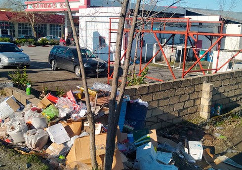 Qəbələdə ətraf mühiti çirkləndirən şəxslər cərimələnib