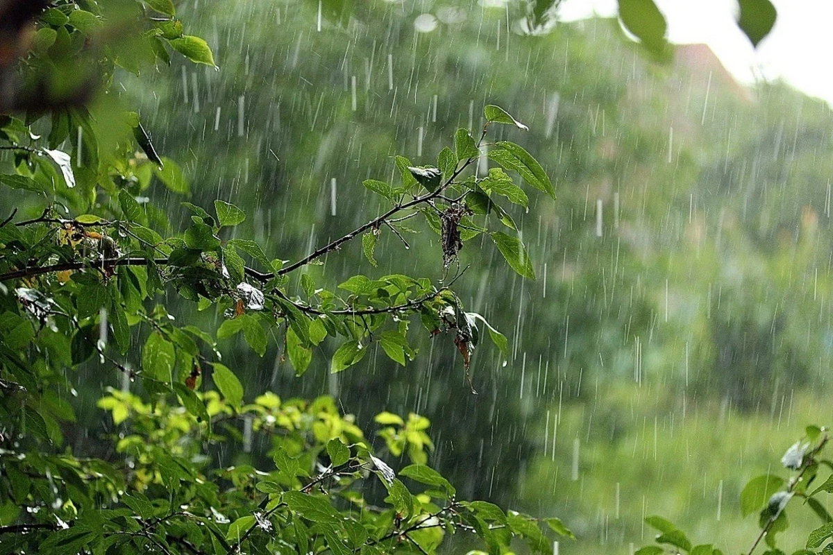 Qeyri-sabit hava mayın 25-dək davam edəcək - XƏBƏRDARLIQ Qeyri-sabit hava mayın 25-dək davam edəcək - XƏBƏRDARLIQ