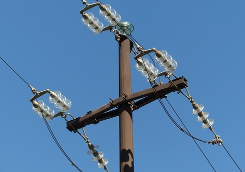 Qobustanda elektrik cərəyanı vurması nəticəsində 10 baş inək tələf olub
