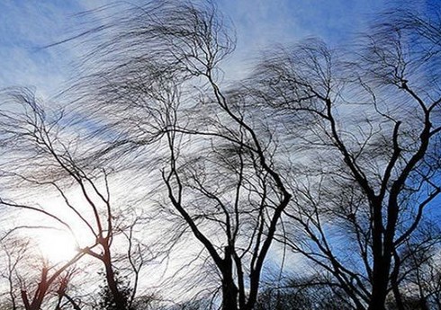 Qərb bölgəsində küləkli hava ciddi fəsadlar törədib