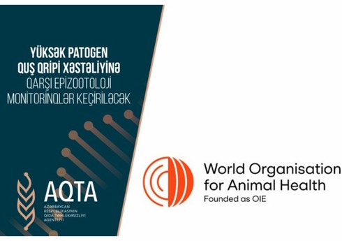 Quş qripi xəstəliyinə qarşı monitorinqlər keçiriləcək