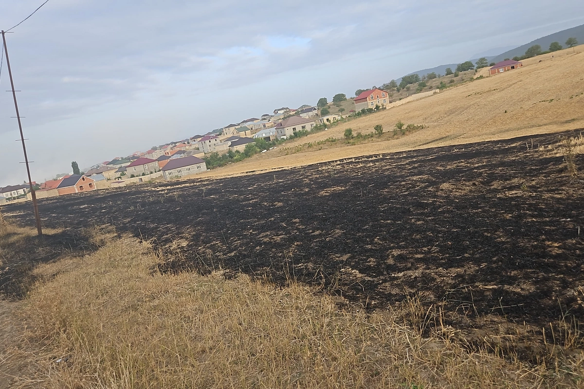 Qubada əkin sahəsinin yandırılmasına görə bir nəfər saxlanıldı