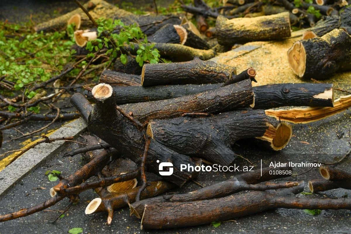 Qubanın kəndində qaz PROBLEMİ: 