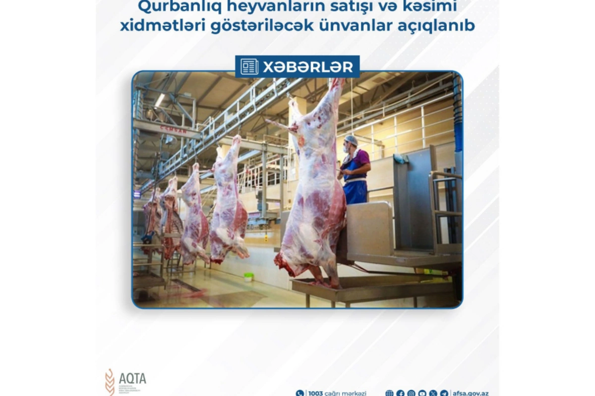 Qurbanlıq heyvanların satışı və kəsimi xidmətləri göstəriləcək ÜNVANLAR