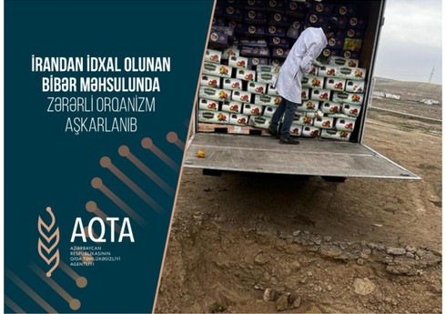 İrandan Azərbaycana gətirilən 5 ton bibər yararsız çıxıb