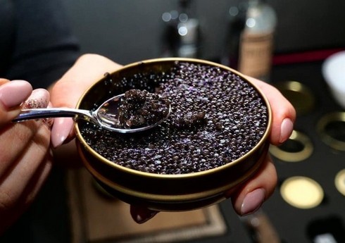 “Rosselxoznadzor” Ermənistandan kürü idxalı zamanı pozuntular aşkarlayıb